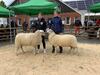 Bei den Lammböcken der Rasse Bentheimer Landschaf in Uelsen stellte de Lange aus Isterberg (li) den Siegerbock und wurde mit der goldenen Preismünze der LWK ausgezeichnet. Reservesieger wurde der Bock von Dobben aus Quendorf.